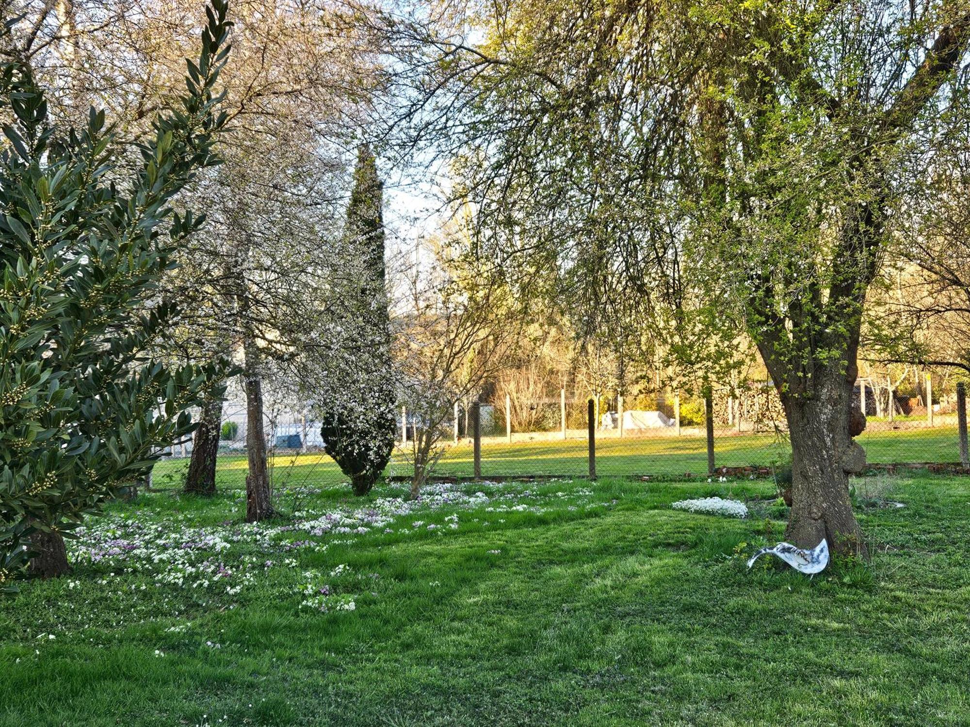 Villa La Grive D'Arce Merrey-sur-Arce Esterno foto